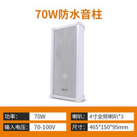 先科A6吸顶广播吊顶壁挂喇叭同轴吊球防水户外音柱天花音箱嵌入式定压公共广播商场店铺背景音乐餐厅音响 70W无源防水音柱