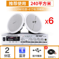  SAST/先科 S1-5 3D环绕 蓝牙吸顶喇叭套装+8寸吸顶喇叭+两分区蓝牙功放  6个8寸吸顶喇叭+两分区蓝牙功放