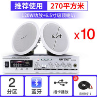 SAST/先科 S1-5 3D环绕 蓝牙吸顶喇叭套装+两分区蓝牙功放 10个6.5寸吸顶喇叭+两分区蓝牙功放