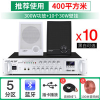 先科(SAST) 壁挂蓝牙音响大功率音箱组合壁挂式挂墙套装店铺用室内功放商场超市餐厅挂壁式商用奶茶店 300W功放+A2黑/白色壁挂*10