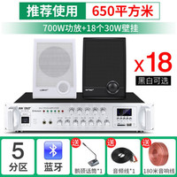 先科(SAST) 壁挂蓝牙音响大功率音箱组合壁挂式挂墙套装店铺用室内功放商场超市餐厅挂壁式商用奶茶店 700W功放+A2黑/白色壁挂*18