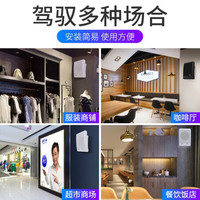 先科(SAST) 壁挂蓝牙音响大功率音箱组合壁挂式挂墙套装店铺用室内功放商场超市餐厅挂壁式商用奶茶店 120W功放+A2黑/白色壁挂*2