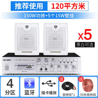  SAST/先科 大功率 壁挂式音响套装+120W功放+A1白色壁挂  120W功放+A1白色壁挂*5