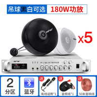 先科(SAST)天花吊球音响蓝牙套装背景音乐奶茶店餐厅咖啡厅超市室内商店铺用音箱吊顶吸顶装悬挂式喇叭 180W功放+吊球*5 黑色吊球