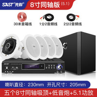 SAST/先科 AV-208 5.1环绕 家庭影院套装 8寸同轴套装(5.1)