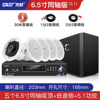 先科(SAST) 同轴吸顶音响5.1家庭影院客厅KTV天花店铺蓝牙家用嵌入式功放套装环绕重低音音箱 6.5寸同轴套装(5.1)
