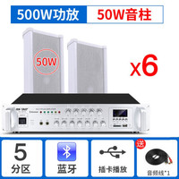 先科（SAST） 户外防水音柱壁挂音响蓝牙功放套装室外店铺挂壁学校室内广播车间操场背景音乐音箱大功率 500W功放+50W音柱*6