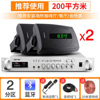 先科(SAST) 壁挂蓝牙功放重低音音响套装大功率影音箱组合家用店铺室内超市餐厅挂壁式奶茶店背景音乐 180W功放+6.5寸重低音壁挂*2+有线话筒