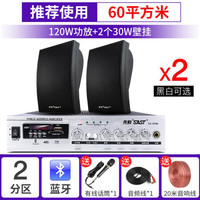 先科(SAST) 壁挂音响蓝牙功放大功率音箱组合家用K歌唱歌套装店铺用室内超市餐厅挂壁式商用奶茶店 120W功放+A6黑/白色壁挂*2