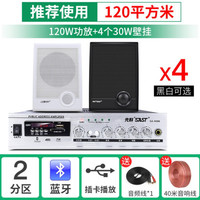 SAST 先科 壁挂音响蓝牙功放大功率音箱组合家用K歌唱歌套装店铺用室内超市餐厅挂壁式商用奶茶店 120W功放+A2黑/白色壁挂