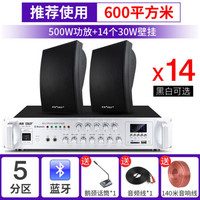 先科 SAST 500W功放+A6壁挂音箱组合 黑白双色 14只装 音箱