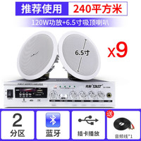 先科(SAST) 吸顶喇叭套装店铺无线蓝牙功放机嵌入式广播天花吊顶音响音箱3D环绕家用客厅背景音乐 120W功放+6.5寸吸顶*9
