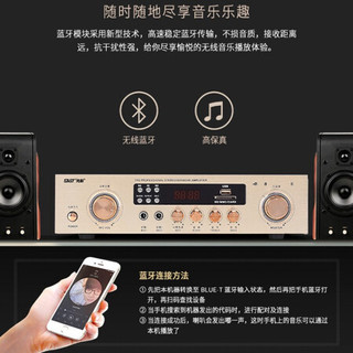 先科（SAST） 定阻蓝牙功放机家用大功率功放5.1家庭影音影院环绕立体攻防数字公放空放音响小功放器 定阻300W蓝牙功放