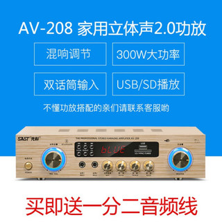 先科（SAST） 定阻蓝牙功放机家用大功率功放5.1家庭影音影院环绕立体攻防数字公放空放音响小功放器 定阻300W蓝牙功放