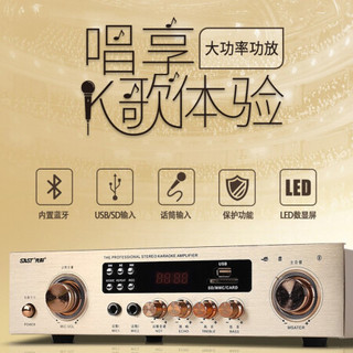 先科（SAST） 定阻蓝牙功放机家用大功率功放5.1家庭影音影院环绕立体攻防数字公放空放音响小功放器 定阻300W蓝牙功放