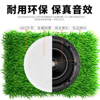 先科(SAST) 定阻同轴吸顶喇叭音箱店铺背景音乐天花嵌入式吊顶公共广播门店音箱会议室音响家用校园 6.5寸定阻同轴喇叭D55(4欧姆)
