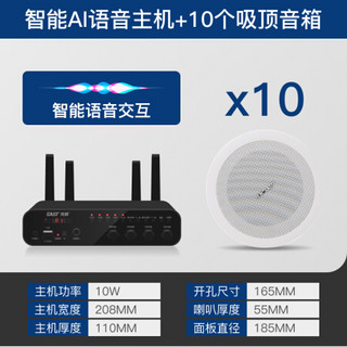 先科ai智能语音无线蓝牙音响家用大音量嵌入式吸顶音响餐厅商用背景音乐吊壁挂式墙面喇叭奶茶店店铺专用音 ai语音版发射器+10个基础版调频无线吸顶 官方标配