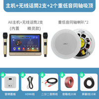 先科智能背景音乐系统套装高音质音箱家庭大音量HiFi嵌入式电脑无线蓝牙3d环绕重低音吸顶音响家用客厅 A8K歌版+2个6.5寸同轴吸顶 官方标配