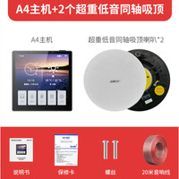 先科(SAST) 智能背景音乐语音主机家居系统天花喇叭家庭影院音箱客厅吸顶音响室内吊顶环绕嵌入蓝牙 标配+2个6.5寸超重低音同轴吸顶