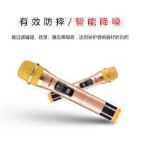 先科OK-68无线话筒一拖二金属U段调频麦克风家用舞台ktv唱歌卡拉ok无线话筒电脑电视专用婚庆舞台 OK68金属U段200频点 官方标配