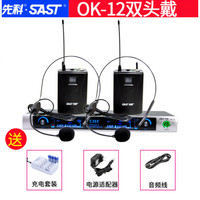 先科OK-13无线话筒一拖二家用唱歌卡拉ok会议室舞台ktv专业一拖四专用音响话筒全民k歌麦克风u段 OK-12双头戴 官方标配