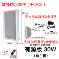 先科(SAST) 有源音柱无线蓝牙室外防水音柱音响户外店面门头挂墙壁挂式音箱室内商用商场餐厅超市工厂 30W蓝牙升级版