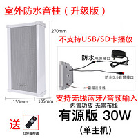 先科（SAST） 有源音柱无线蓝牙室外防水音柱音响户外店面门头挂墙壁挂式音箱室内商用商场餐厅超市工厂 30W蓝牙升级版