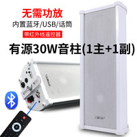 先科（SAST） 有源音柱无线蓝牙室外防水音柱音响户外店面门头挂墙壁挂式音箱室内商用商场餐厅超市工厂 有源蓝牙音柱30W(主机+副机)+10米音响线