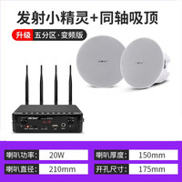 先科(SAST)无线蓝牙吸顶音响壁挂壁喇叭家用天花吊顶套装嵌入式室内店铺餐厅吊球背景音乐家用音箱 发射器+同轴高低音吸顶 音响数量(10)