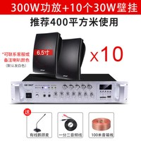 先科(SAST)壁挂音响音箱店铺用室内背景音乐吊顶挂喇叭餐厅超市功放套装门店门头挂墙式商用公共广播 至尊版10个音响+功放机 官方标配