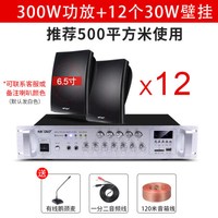先科(SAST)壁挂音响音箱店铺用室内背景音乐吊顶挂喇叭餐厅超市功放套装门店门头挂墙式商用公共广播 至尊版12个音响+功放机 官方标配