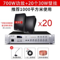 SAST 先科 壁挂音响音箱店铺用室内背景音乐吊顶挂喇叭餐厅超市功放套装门店门头挂墙式商用公共广播 至尊版20个音响+功放机 官方标配