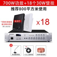 先科(SAST)壁挂音响音箱店铺用室内背景音乐吊顶挂喇叭餐厅超市功放套装门店门头挂墙式商用公共广播 18个音响+功放机 官方标配