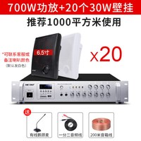 先科(SAST)壁挂音响音箱店铺用室内背景音乐吊顶挂喇叭餐厅超市功放套装门店门头挂墙式商用公共广播 20个音响+功放机 官方标配