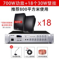 先科(SAST)壁挂音响音箱店铺用室内背景音乐吊顶挂喇叭餐厅超市功放套装门店门头挂墙式商用公共广播 至尊版18个音响+功放机 官方标配