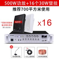 先科(SAST)壁挂音响音箱店铺用室内背景音乐吊顶挂喇叭餐厅超市功放套装门店门头挂墙式商用公共广播 16个音响+功放机 官方标配