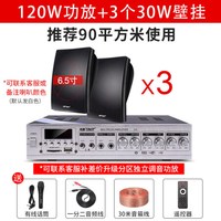 先科(SAST)壁挂音响音箱店铺用室内背景音乐吊顶挂喇叭餐厅超市功放套装门店门头挂墙式商用公共广播 至尊版3个音响+功放机 官方标配