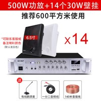 先科(SAST)壁挂音响音箱店铺用室内背景音乐吊顶挂喇叭餐厅超市功放套装门店门头挂墙式商用公共广播 14个音响+功放机 官方标配
