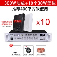 先科(SAST)壁挂音响音箱店铺用室内背景音乐吊顶挂喇叭餐厅超市功放套装门店门头挂墙式商用公共广播 10个音响+功放机 官方标配