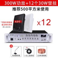 先科(SAST)壁挂音响音箱店铺用室内背景音乐吊顶挂喇叭餐厅超市功放套装门店门头挂墙式商用公共广播 12个音响+功放机 官方标配