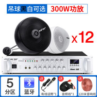 先科(SAST) 天花吊球音响蓝牙功放套装背景音乐奶茶店餐厅咖啡厅超市室内商店铺用音箱吊顶吸顶装喇叭 300W功放+吊球*12 白色吊球