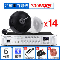 先科(SAST) 天花吊球音响蓝牙功放套装背景音乐奶茶店餐厅咖啡厅超市室内商店铺用音箱吊顶吸顶装喇叭 300W功放+吊球*14 黑色吊球