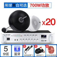 先科(SAST) 天花吊球音响蓝牙功放套装背景音乐奶茶店餐厅咖啡厅超市室内商店铺用音箱吊顶吸顶装喇叭 700W功放+吊球*20 黑色吊球