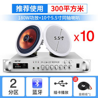 先科(SAST) 同轴吸顶喇叭套装店铺无线蓝牙功放机嵌入式天花吊顶音响音箱3D环绕家用客厅背景音乐 180W功放+5.5寸吸顶*10