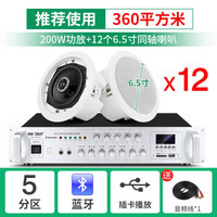 SAST/先科 3D环绕 吸顶喇叭套装+200W功放+6.5吸顶 白色