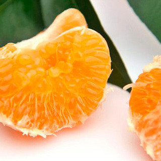 四川不知火丑橘 无籽蜜桔丑八怪橘子丑柑 新鲜水果 中果5斤装