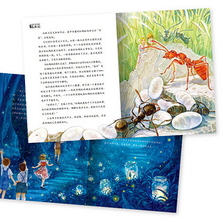 《写给中国儿童的昆虫记》（套装共6册）