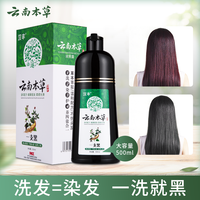 云南本草一洗黑洗发水染发剂植物自然纯黑色染发清水焗油黑发染发膏男女士一梳黑泡泡染不沾头皮 一洗黑(自然黑)