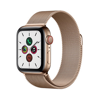 Apple 苹果 Watch Series 5 GPS+蜂窝款 智能手表 40mm 金色不锈钢表壳 金色米兰尼斯表带（GPS）