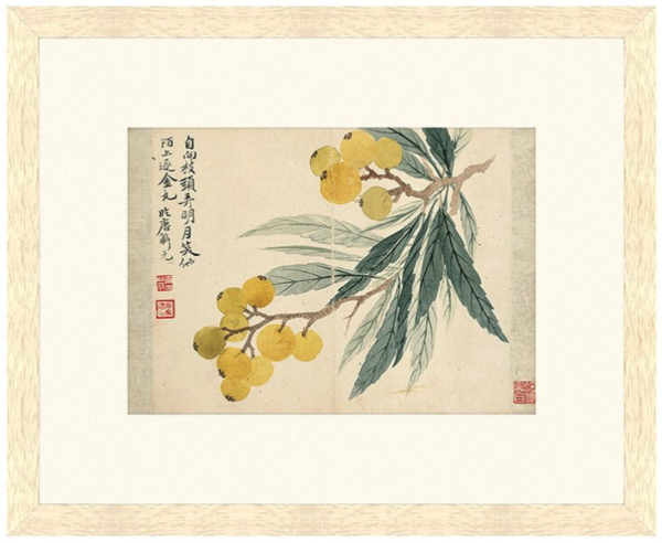 恽寿平 古典中式国画《枇杷图 》茶褐色 59×48cm 宣纸